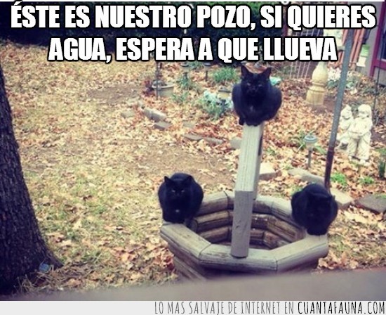 observación,yo ya me iba,incomodo,agua,espera a que llueva